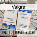 Vaigra kamagra1